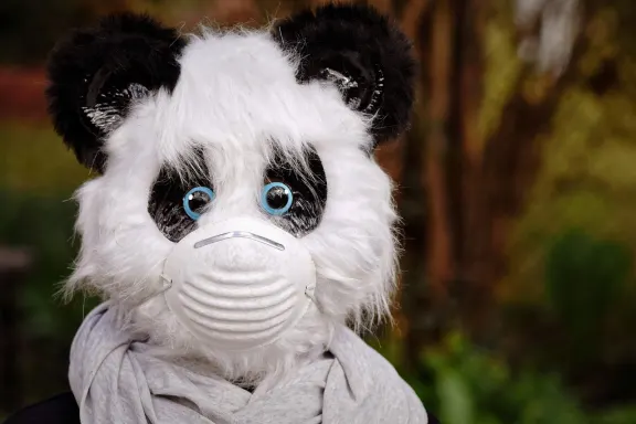 ΝοξΓουιν Καζίνο Υποστηριξη